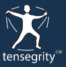 Body Tensegrity